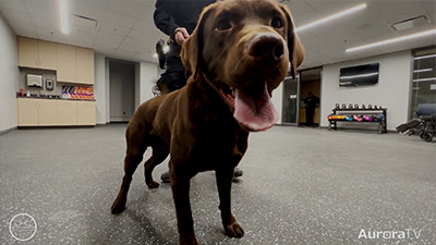 Aurora TV | The Aurora TV Channel